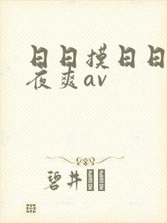 日日摸日日碰夜夜爽av
