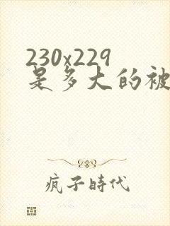 230x229是多大的被子