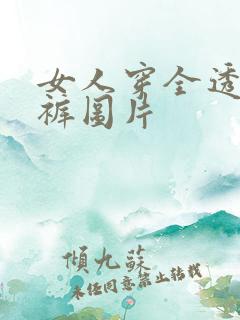 女人穿全透明内裤图片