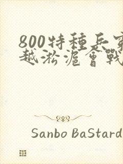 800特种兵穿越淞沪会战的小说