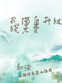 我独自升级 在线免费