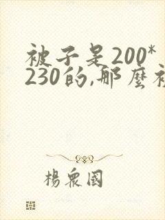 被子是200*230的,那么被套买多大