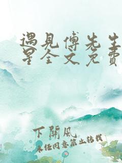 遇见傅先生叶繁星全文免费阅读贺