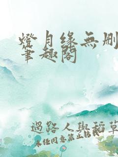 灯月缘无删减版笔趣阁