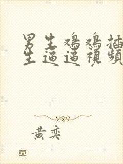 男生鸡鸡插入女生逼逼视频