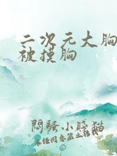 二次元大胸妹子被摸胸