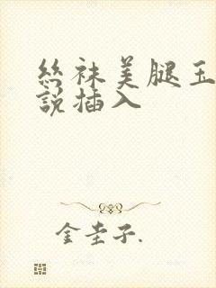 丝袜美腿玉足小说插入