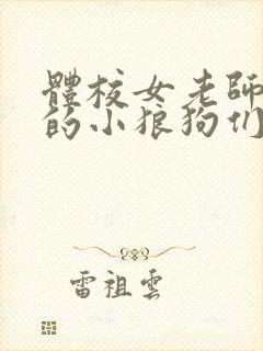 体校女老师和她的小狼狗们