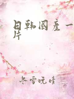 日韩国产一级淫片