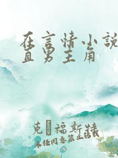 在言情小说里撩直男主角