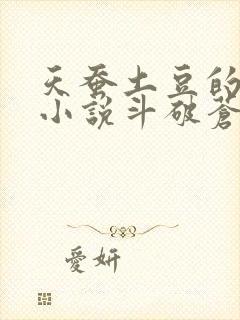 天蚕土豆的全部小说斗破苍穹