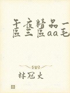 午夜精品一区二区三区aa毛片