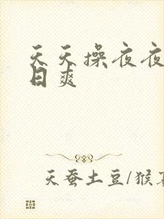 天天操夜夜摸日日爽