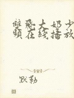 双飞大奶少妇视频在线播放