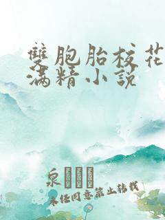 双胞胎校花被灌满精小说