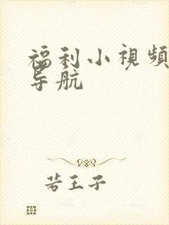 福利小视频在线导航