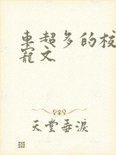 车超多的校园甜宠文