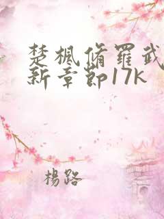 楚枫修罗武神最新章节17k