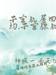 子宫肌层回声不均,子宫腺肌症可能