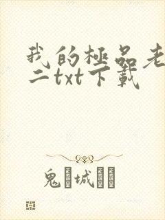我的极品老婆小二txt下载