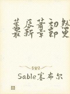 叶辰萧初然刚刚最新章节更新