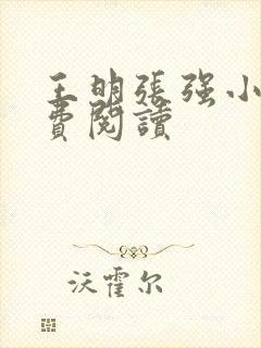 王明张强小说免费阅读