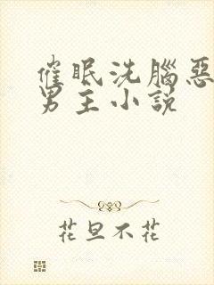 催眠洗脑恶堕双男主小说