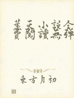 叶天小说全文免费阅读无弹窗