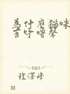 为什么猫咪呼吸有呼噜声