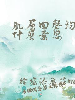 肌层回声均匀是什么意思