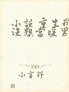 小说 重生我真没想当暖男