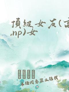 顶级女友(高h,np)女