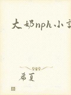 大奶nph小说