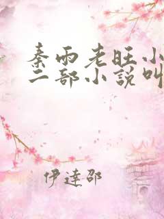 秦雨老旺小说第二部小说叫什么