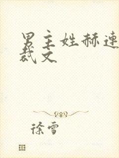 男主姓赫连的总裁文