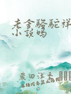 老舍骆驼祥子是小说吗