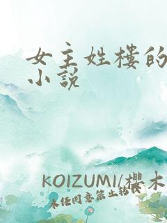 女主姓楼的玄幻小说