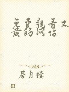 免费观看又污又黄的网站