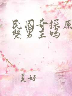 民国奇探原著是双男主吗