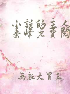 小说的主人公叫秦峰免费阅读