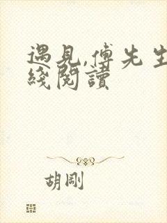 遇见,傅先生在线阅读