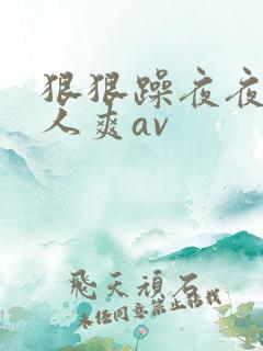 狠狠躁夜夜躁人人爽av