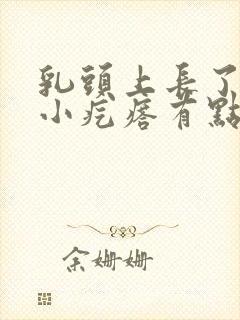 乳头上长了一个小疙瘩有点疼