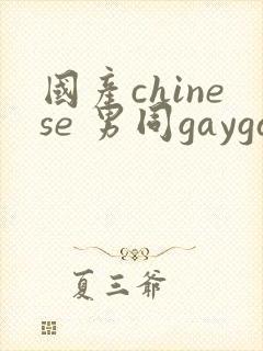 国产chinese 男同gaygay 网站