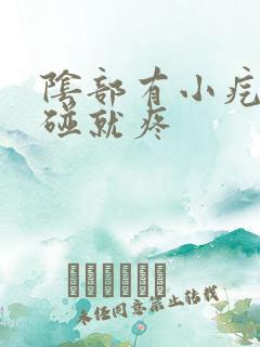 阴部有小疙瘩一碰就疼