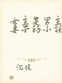 女主是男主下属妻子的小说
