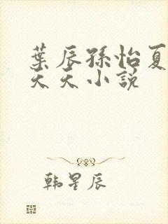 叶辰孙怡夏若雪天天小说