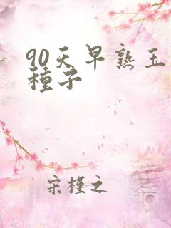 90天早熟玉米种子