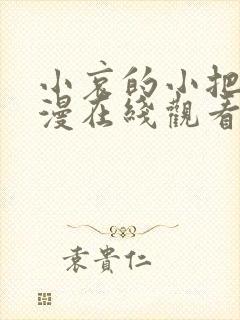 小哀的小把戏动漫在线观看