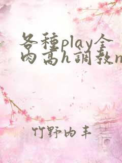 各种play全肉高h调教np